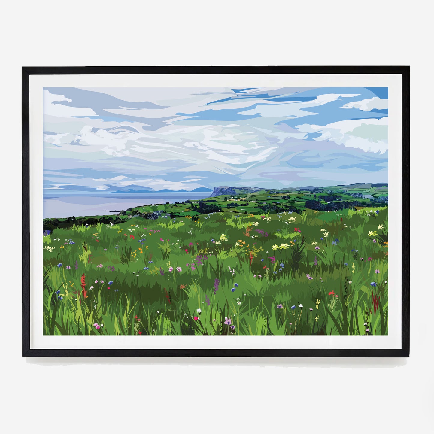 Ballycastle Wildflower