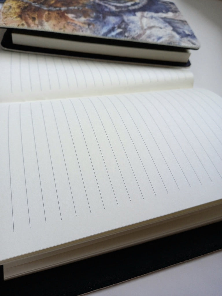 Blue & Pink Notebooks