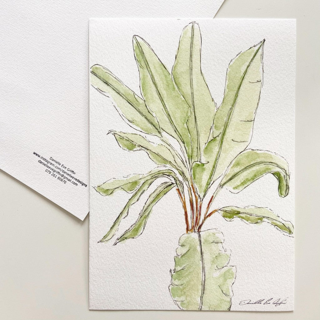 Palm Leaves