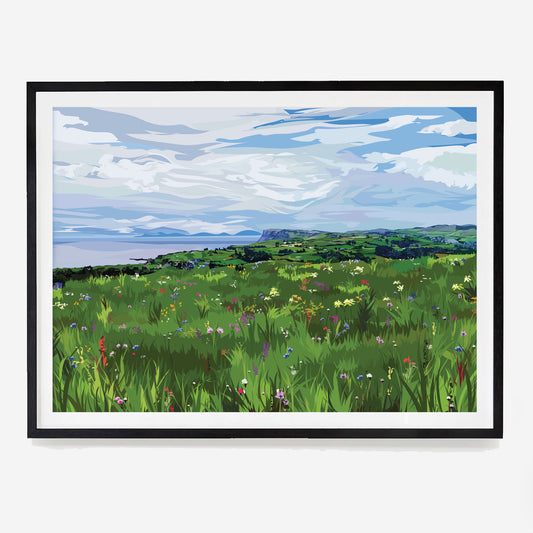 Ballycastle Wildflower