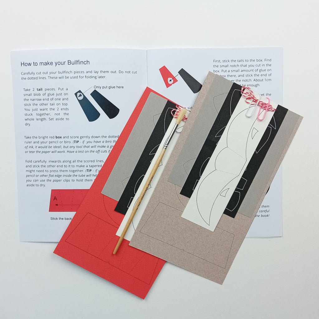 Pair of Paper Bullfinches Craft Kit