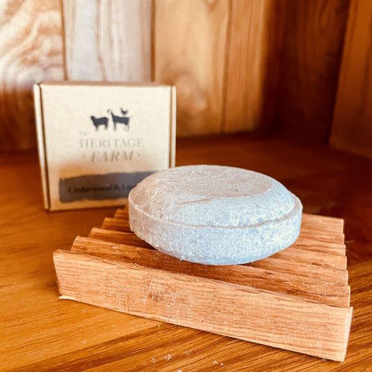 Shampoo bars
