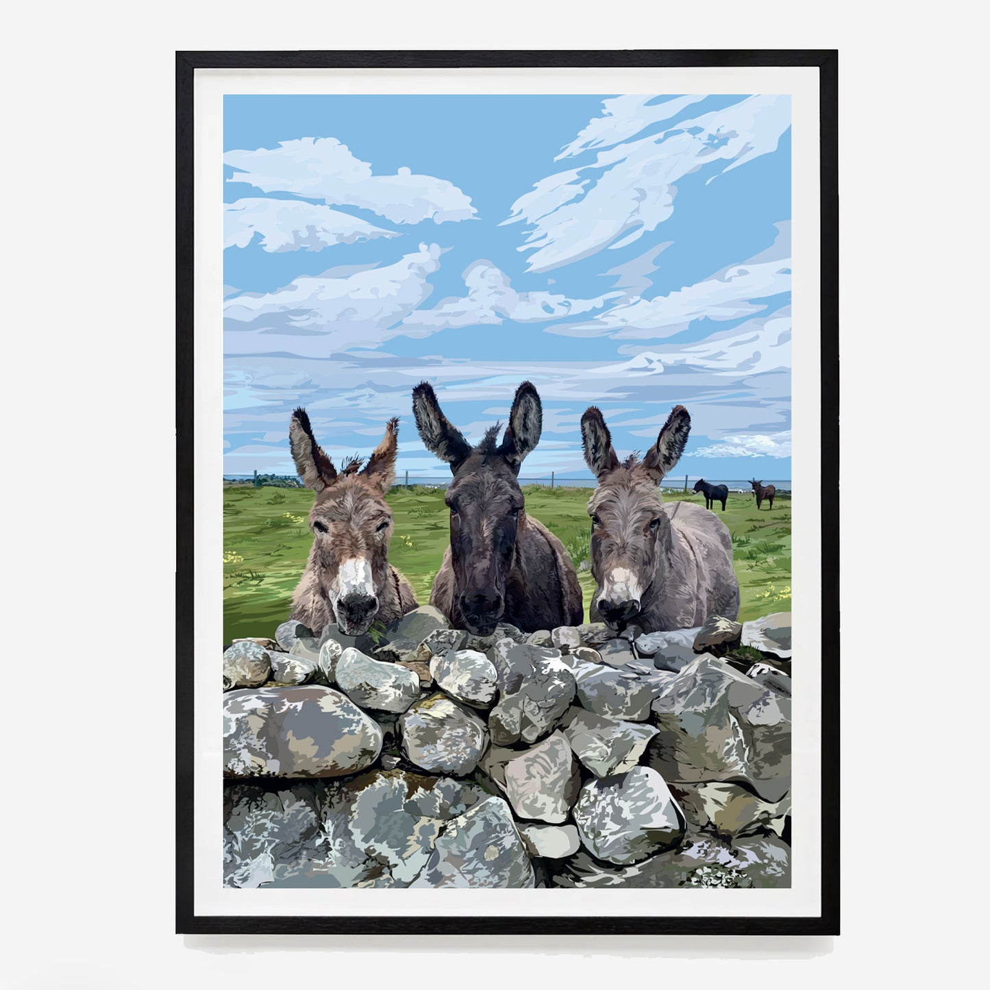 Donegal Donkeys