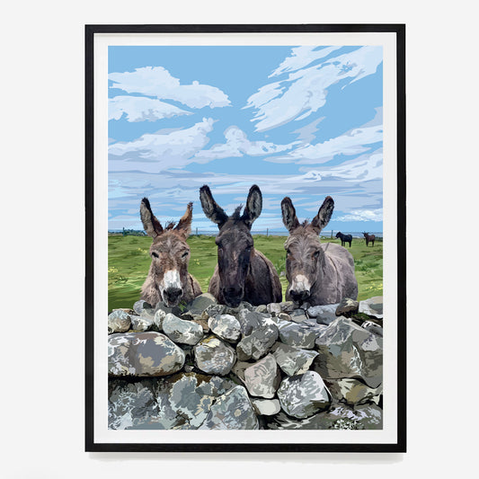 Donegal Donkeys