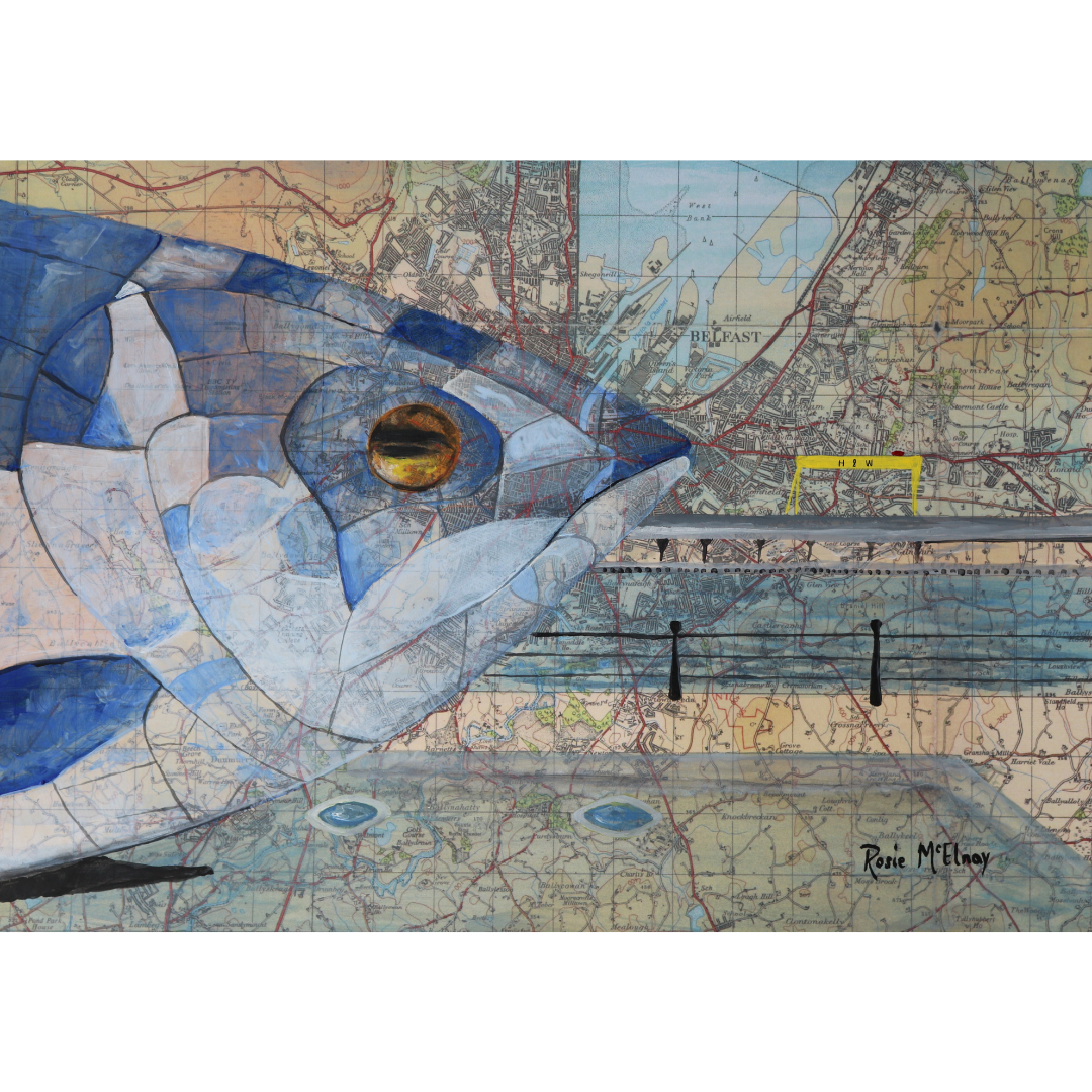 The Big Fish, Belfast